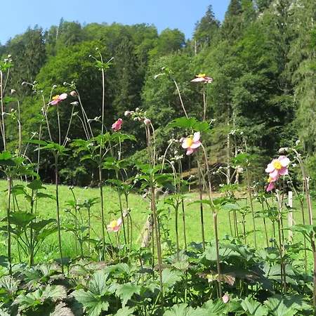 Haus Waldwinkel Διαμέρισμα