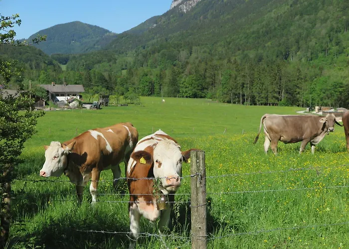 Haus Waldwinkel *